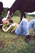 Clos Equitation